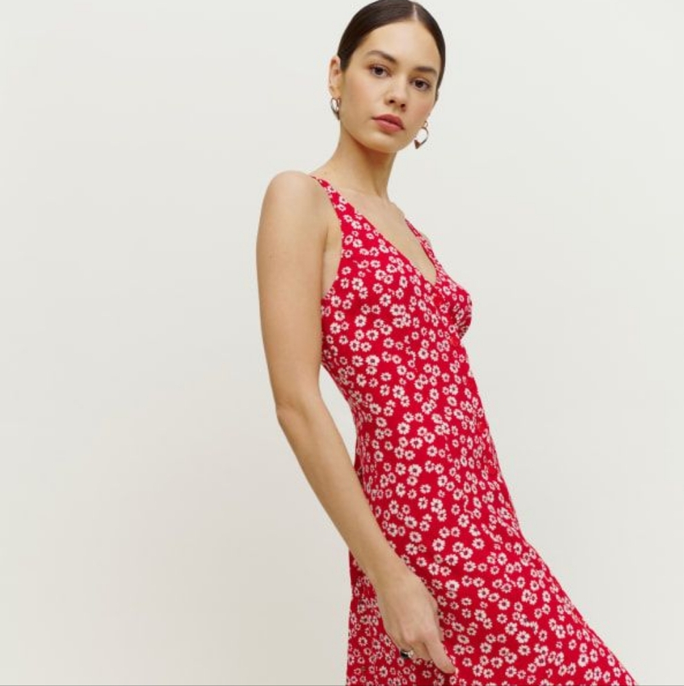 Reformation Luke Dress -6